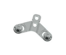 Posterior Occipital Plate